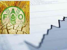 FAO indeks cijena hrane pao u oktobru za 1,6 posto