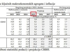 CBBiH: Rast realnog BDP-a u BiH mogao bi usporiti na oko 2% u 2025.